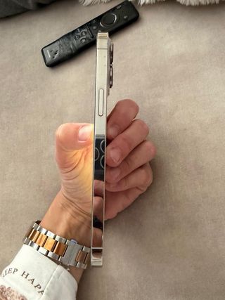 iPhone 13 Pro Max Argento/Bianco