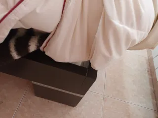 Habitación completa: Cama, mesa, cómoda y espejo