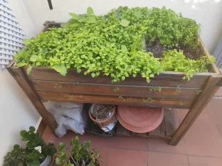 Mesa de huerto de madera