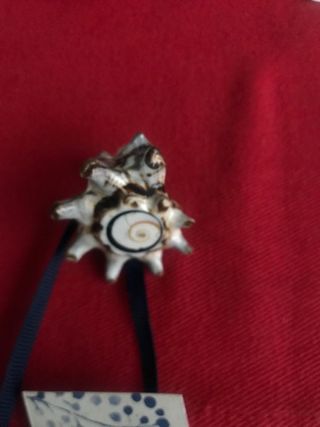 Anillo concha marina