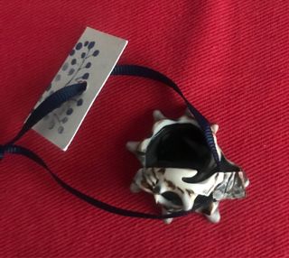 Anillo concha marina