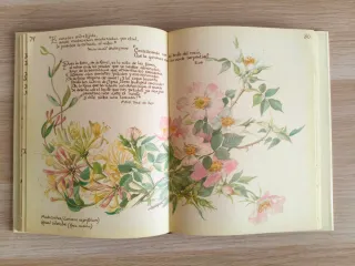 La felicidad de vivir con la naturaleza