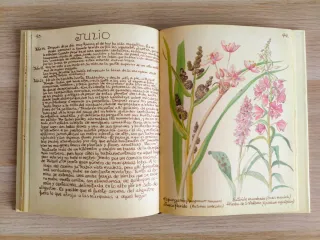 La felicidad de vivir con la naturaleza