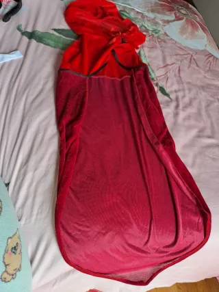 Disfraz Caperucita Roja adulto Carnaval