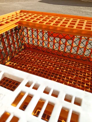 Lote jaulas transporte  perdiz