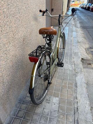 Bicicleta de paseo verde
