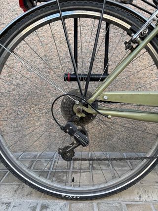 Bicicleta de paseo verde