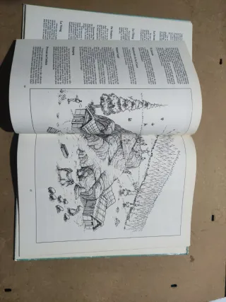 RuneQuest Los Vikingos Suplemento Rol