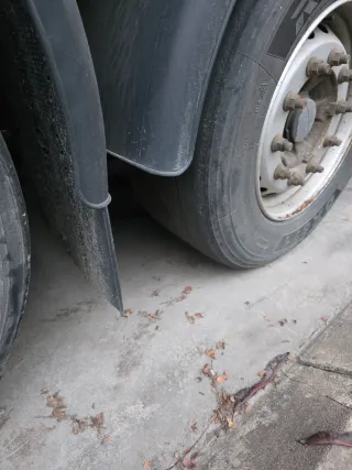 Semirremolque Lezi Trailer Tauliner Techo Elevable