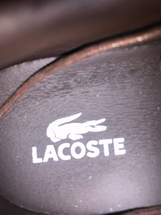 Sapatos Lacoste Castanhos Homem