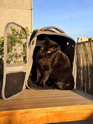 Mochila Transportín Gato Nayeco Negra/Gris