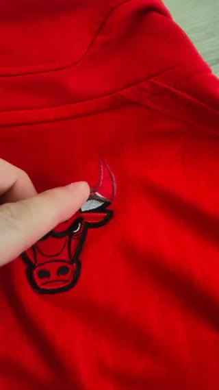 Sudadera Chicago Bulls Adidas Roja