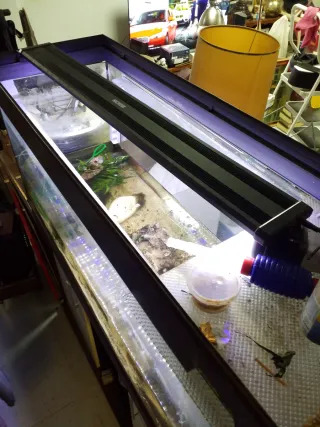 Chollo. Acuario grande con mueble