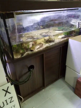 Chollo. Acuario grande con mueble