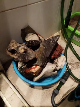 Chollo. Acuario grande con mueble