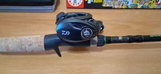 Daiwa Tatula Elite 8.1