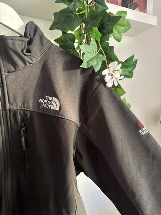 Chaqueta The North Face gris MODELO APEX BIONIC