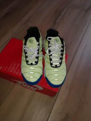 Zapatillas Nike TN Air Max Plus Verdes y Azules