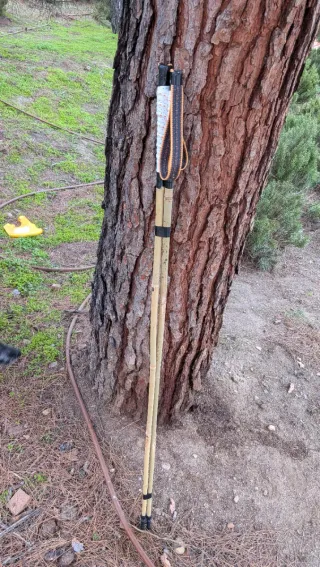 Bastones de bambú trail running 115cm