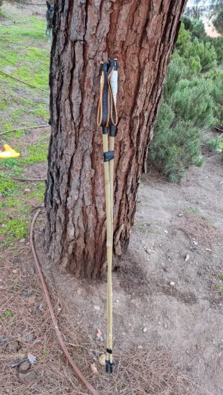 Bastones de bambú 120cm