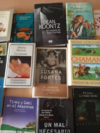 Lote de libros