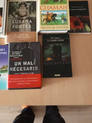 Lote de libros