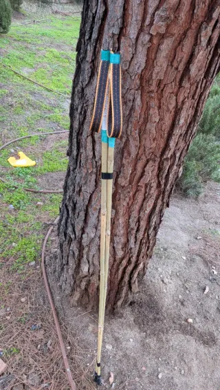 Bastones de bambú 120cm