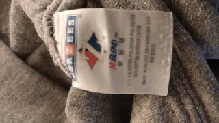 Hoodie Jerzees Longhorns Gris