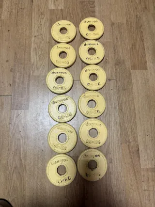 Discos de gimnasio Domyos 0.5 kg (x12)