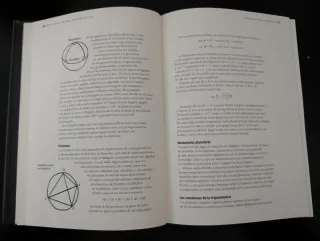 Historia de las matemáticas: En los últimos 100...