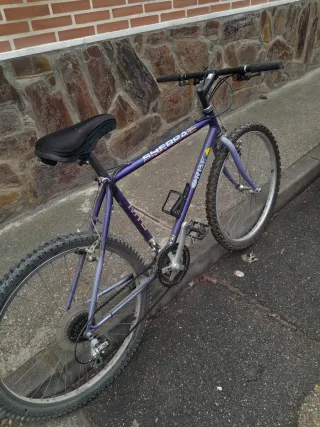 Bicicleta Orbea Sherpa MTB Morada