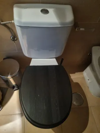 Inodoro completo tapa madera oscura