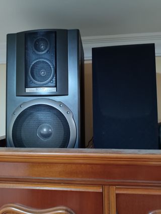 Altavoces Aiwa, Pioneer y Sharp