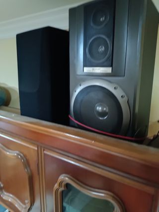 Altavoces Aiwa, Pioneer y Sharp