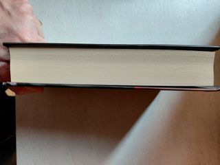 L'ombra del Sicomoro di John Grisham