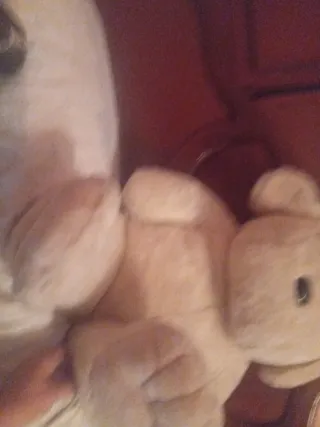 Peluche de perro suave