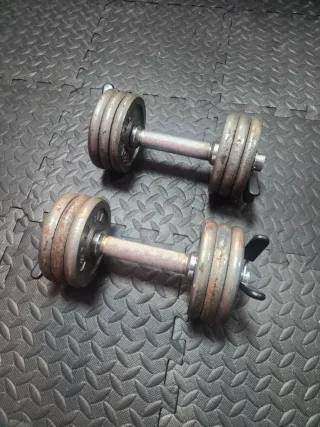 Pesas de gimnasio ajustables