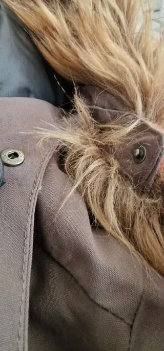 Chaqueta Helly Hansen Bardu Bomber Gris