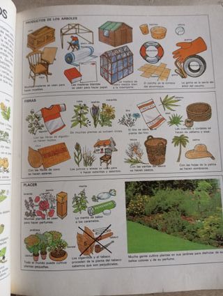 Mi primer libro del mundo y d vla historia