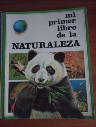 Mi primer libro del mundo y d vla historia