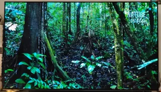 TV LG OLED 65' 4K X PS5