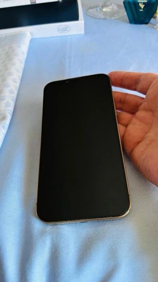 iPhone 13 Pro Max Apple