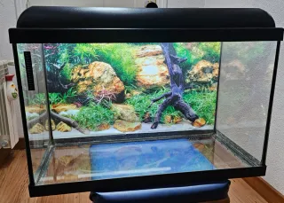 Acuario o Terrario AQUALED 70L con LED y termómetr