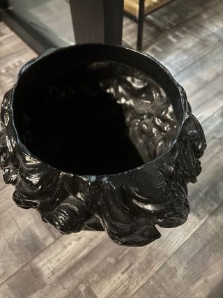 Testa di Moro Nera Lucida