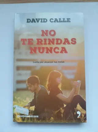 No te rindas nunca - David Calle