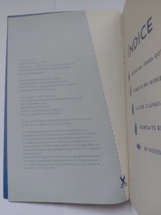 No te rindas nunca - David Calle