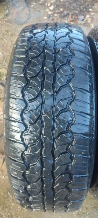 Neumáticos y llantas Lavingator