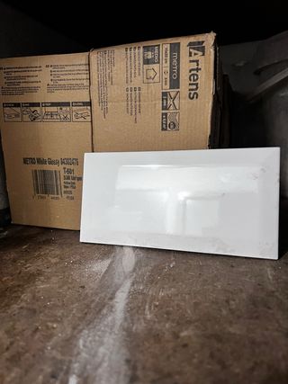 Azulejos Blanco Brillante 10x20