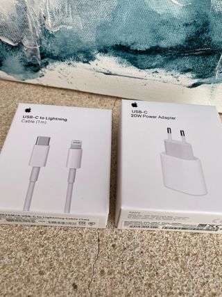 Caricabatterie Apple Lightning completo con cavo gratuito