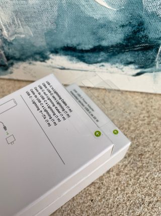 Caricabatterie Apple Lightning completo con cavo gratuito